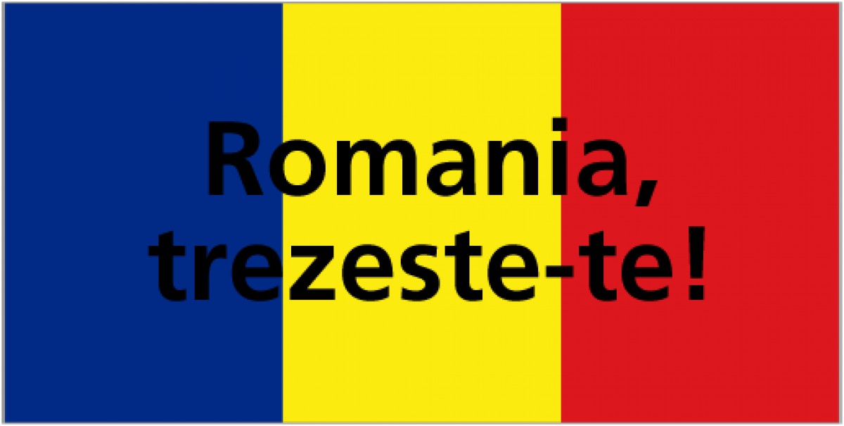 2008 - Anul Trezirii in Romania