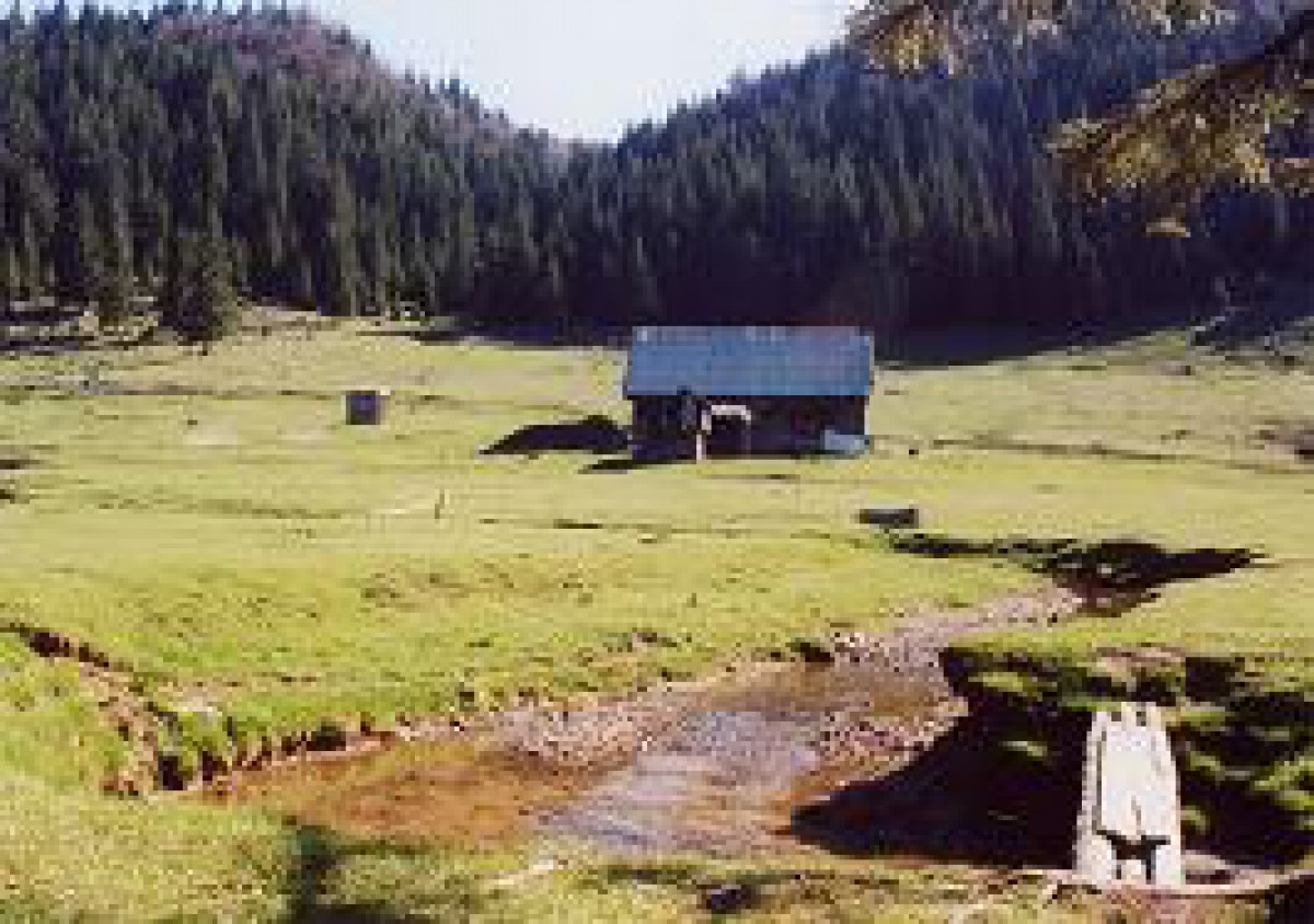 Tabara Elim la Padis – Ponor