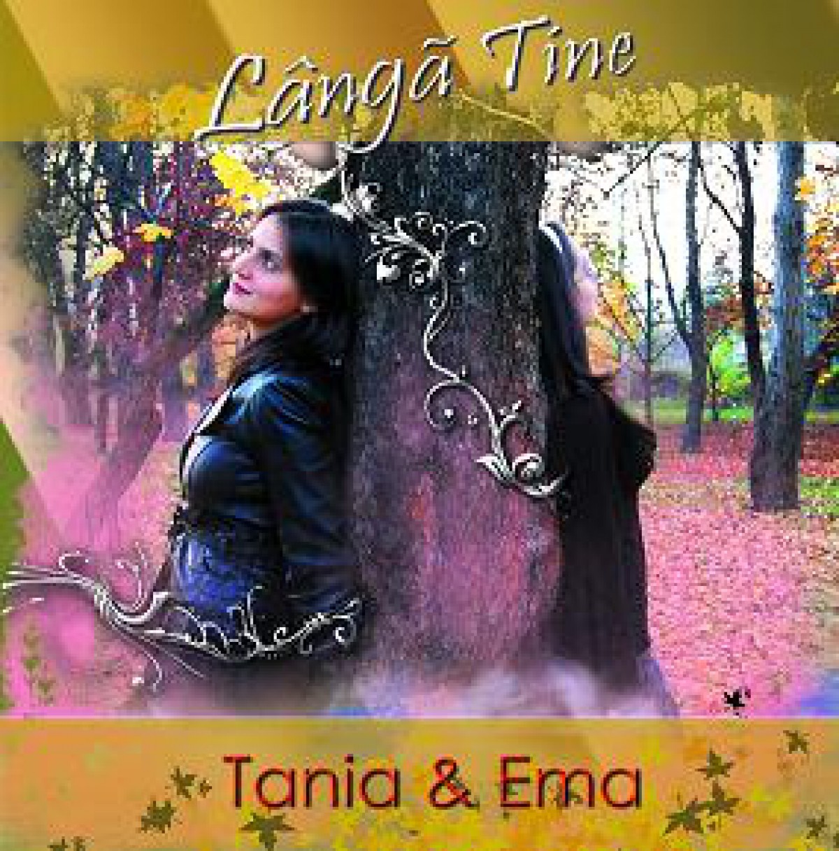 Lansare album
