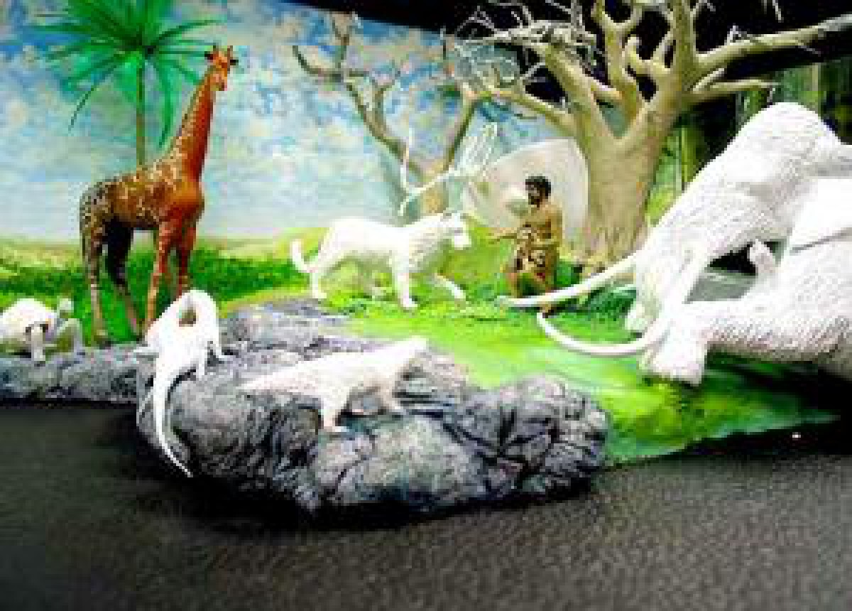 In Marea Britanie, unul din sapte, cred in creationism …