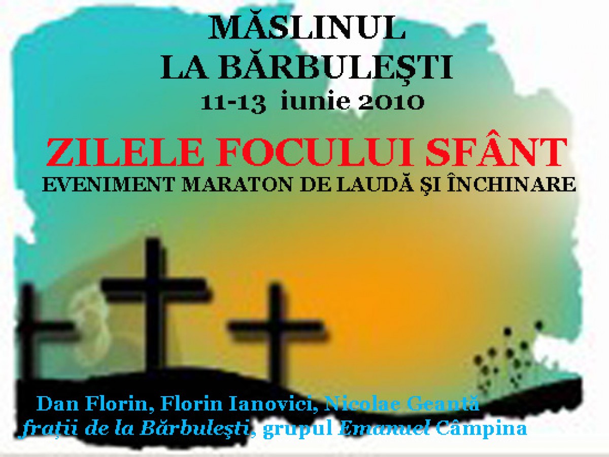 Măslinul la Bărbuleşti