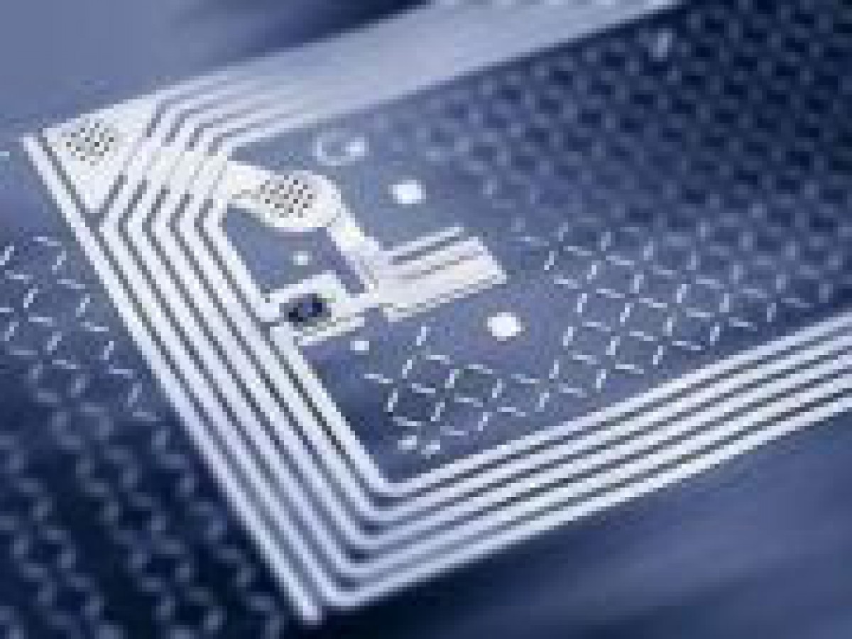 Din 2011 vom avea cărţi de identitate electronice