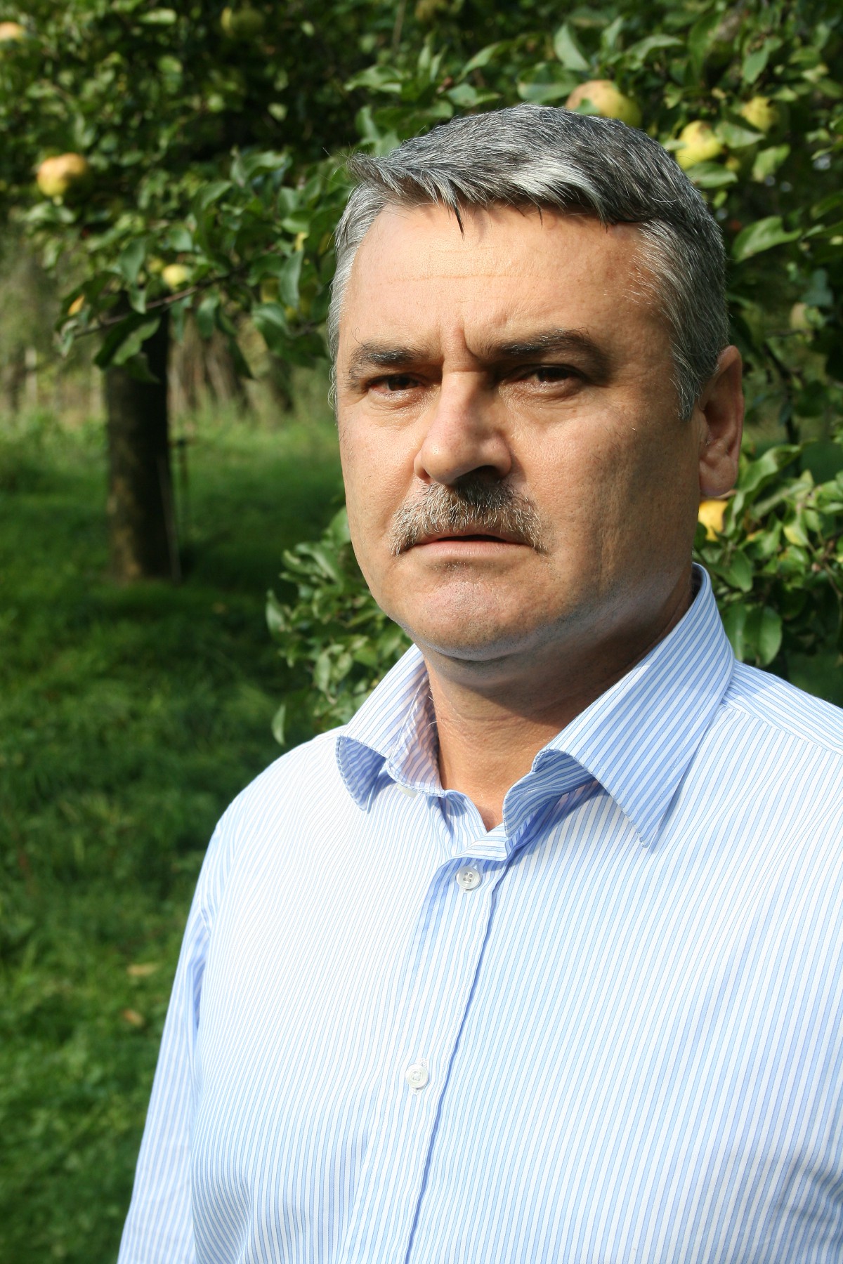Lansarea volumului "Reverberatii crestine" de Nelu Rosu