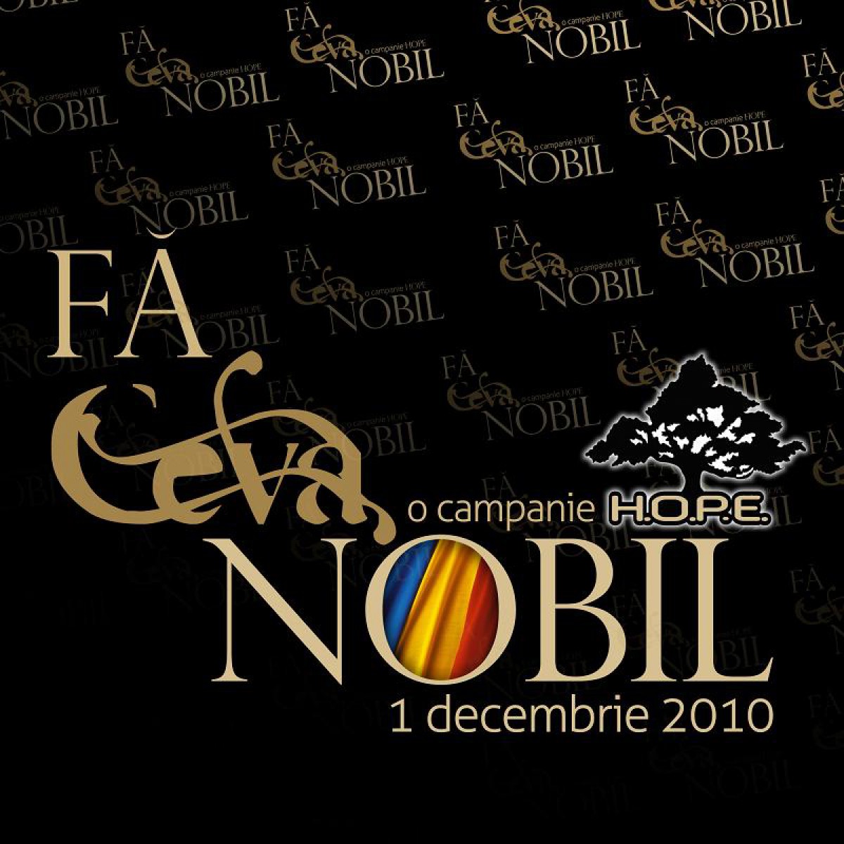 1 Decembrie - Fă ceva nobil !