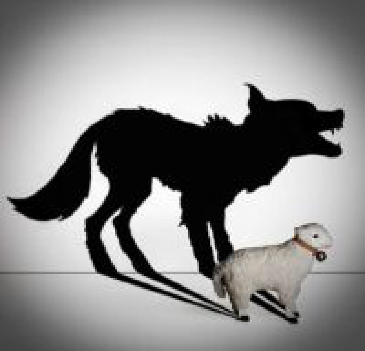 Tabere şi conferinţe creştine. Cu folos sau dăunătoare?