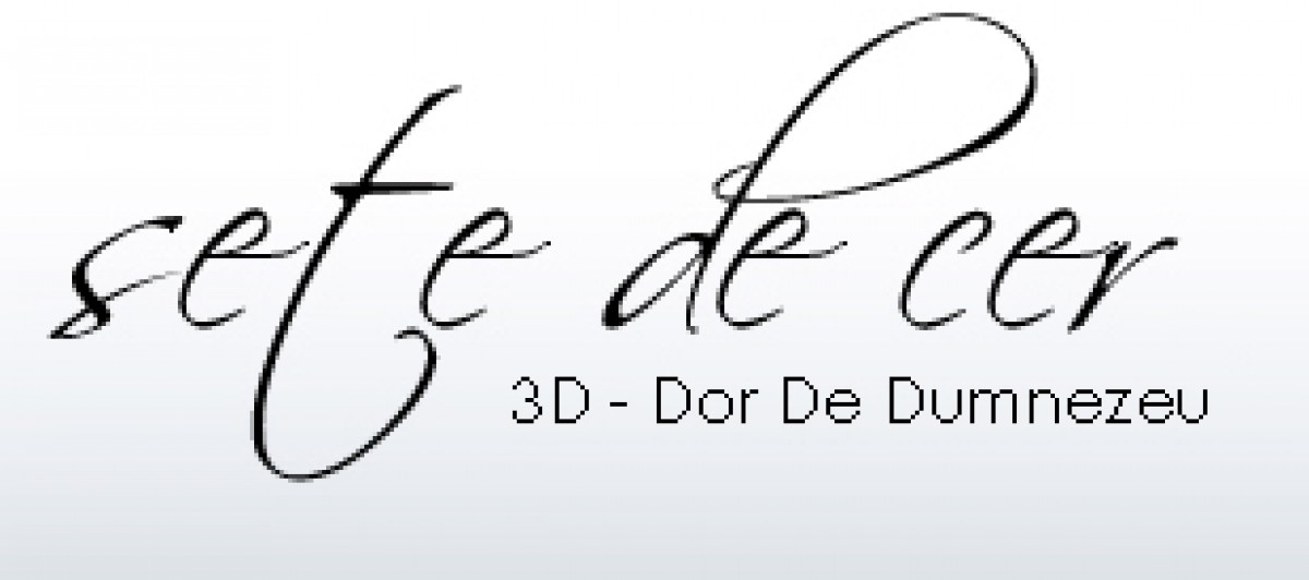 Intalnire de tineret SeteDeCer