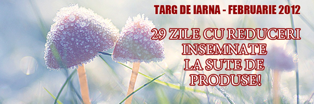 Targ de iarna cu reduceri