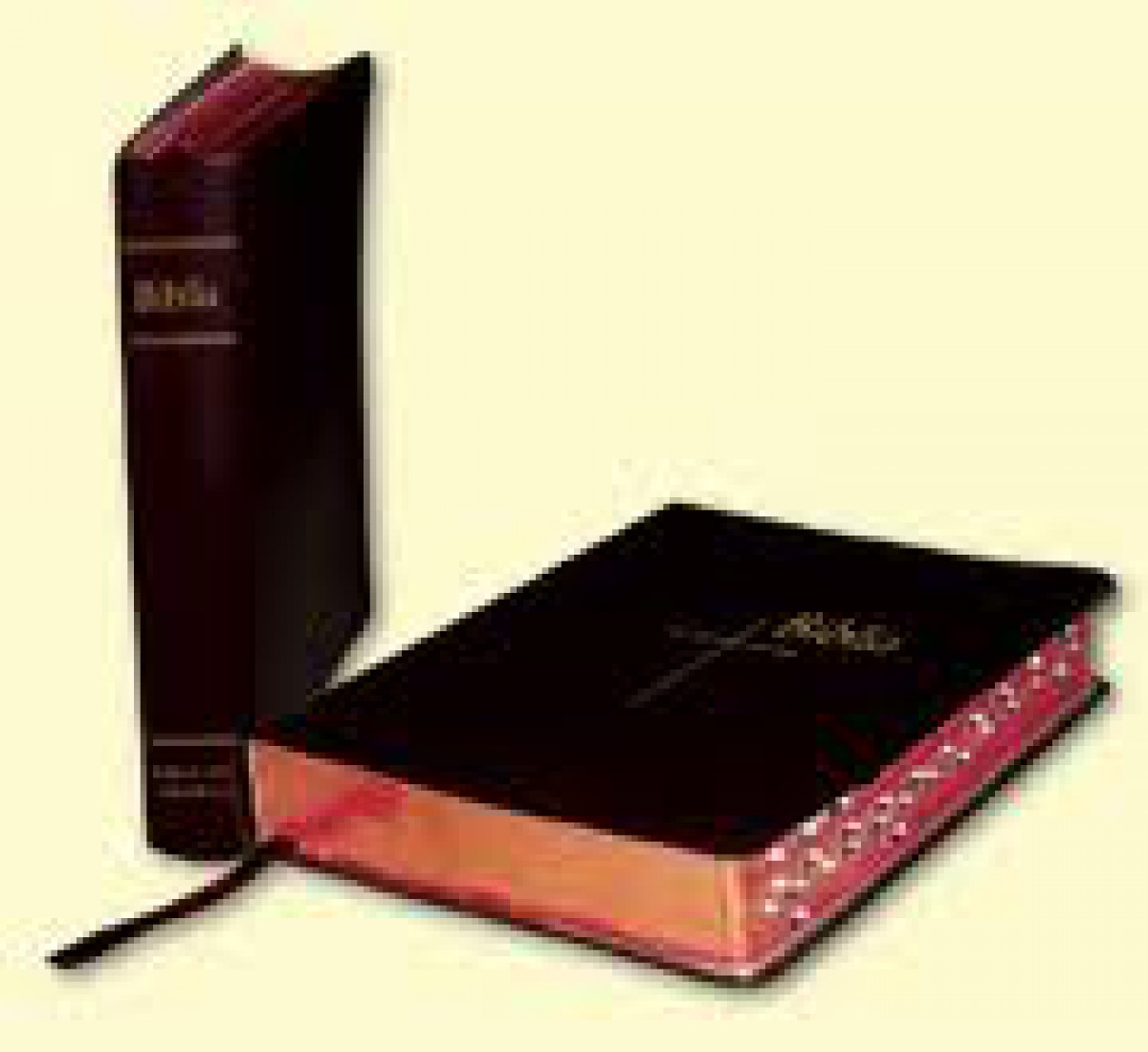 Biblia de studiu, ediția Thompson - disponibilă