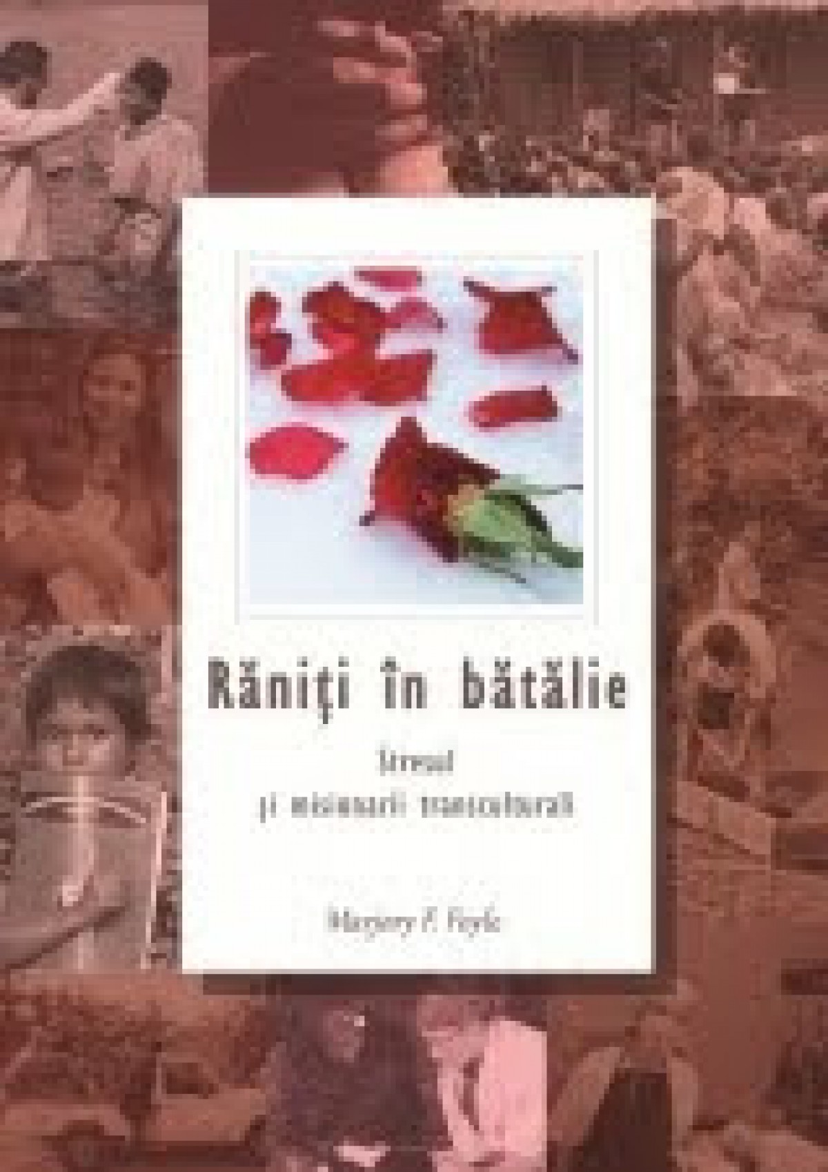 Răniți în bătălie - Stresul și misionarii transculturali