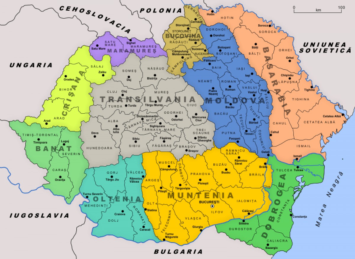 Ziua limbii române și provocarea la a învăța și o altă limbă