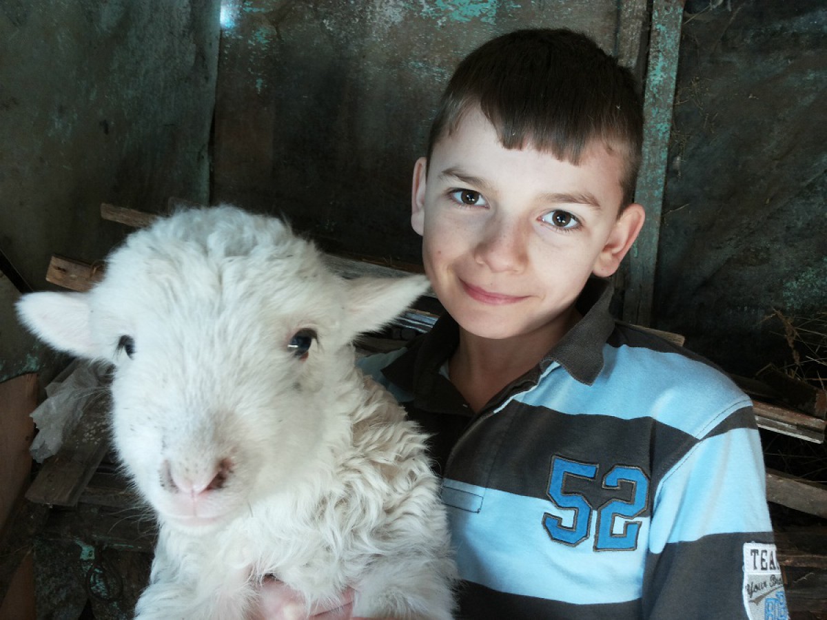 VEZI VIDEO – Ajuta o familie cu 13 copii sa aiba un cal si o vaca