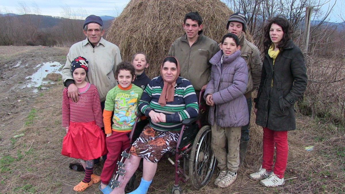 Vrem sa muncim - Doneaza un cal si o vaca pentru o familie de frati penticostali