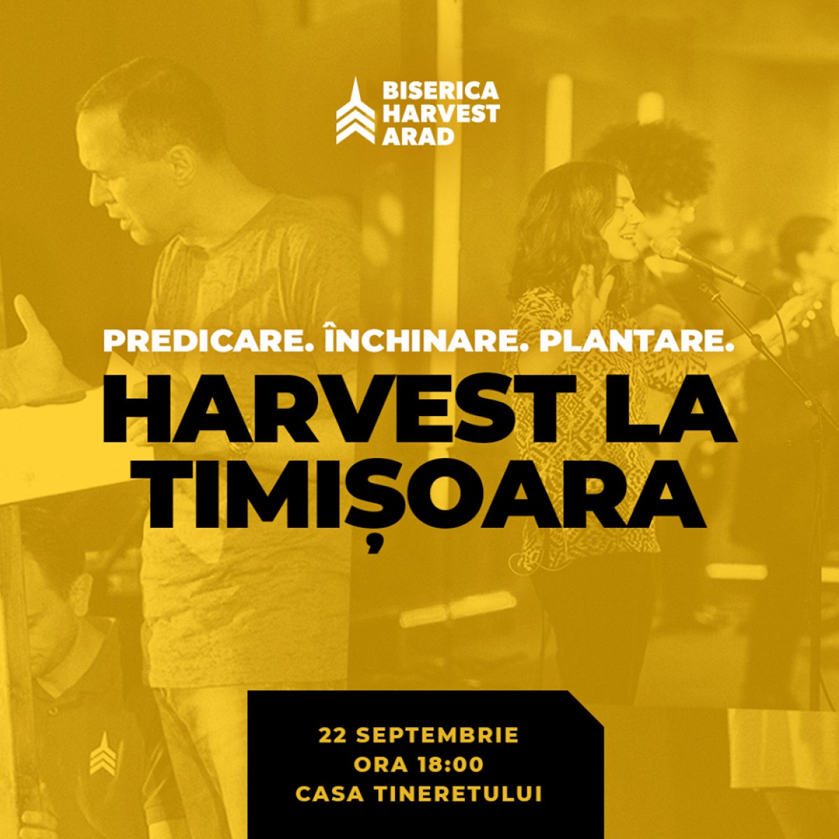 Harvest la Timișoara!